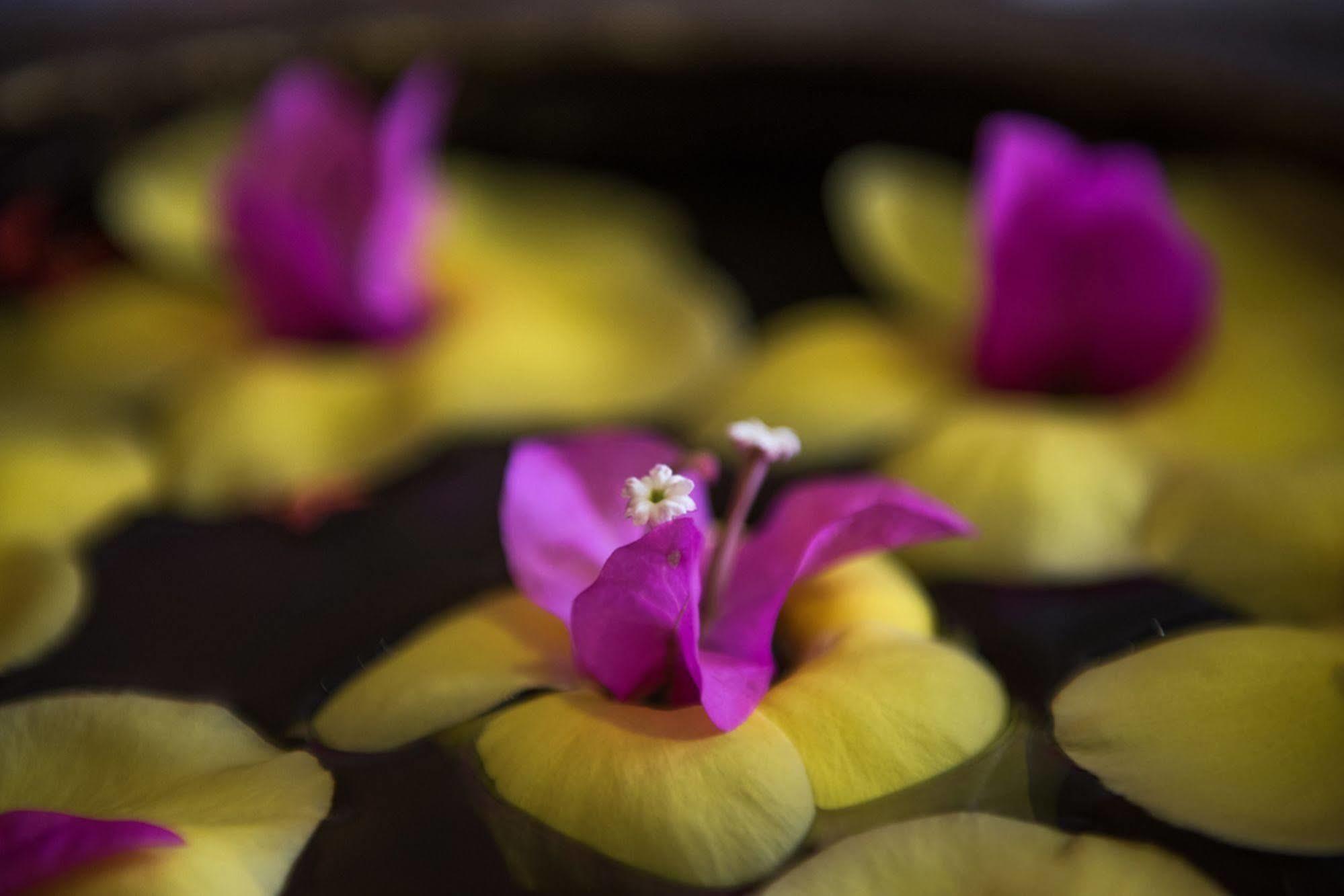 Galaxy Angkor Boutique Hotel Siem Reap Zewnętrze zdjęcie